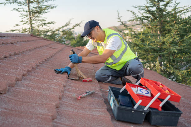 Best Roof Gutter Cleaning  in Merrionette Park, IL